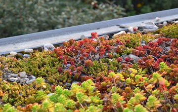 the cost of Seed Lee green roof installation