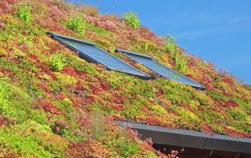 Seed Lee living roof systems
