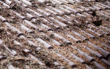 Seed Lee roof cleaning companies