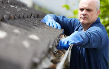 cleaning and inspecting Seed Lee roofs