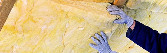 quotes for Seed Lee roof insulation